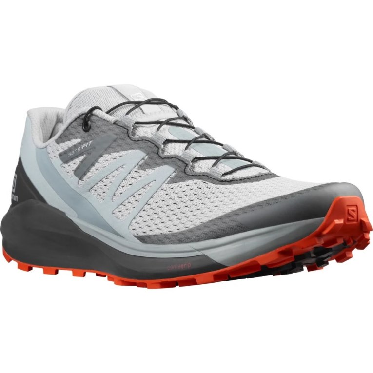 Sapatilhas Trail Running Salomon Sense Ride 4 Masculino Cinzentas | PT O56912